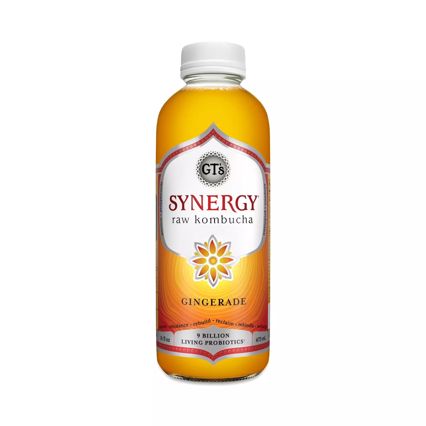 GT's Synergy Raw Kombucha Gingerade