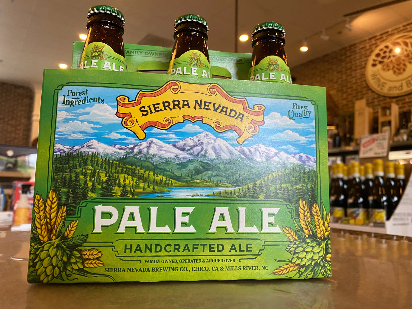 Sierra Nevada Pale Ale 6-Pack